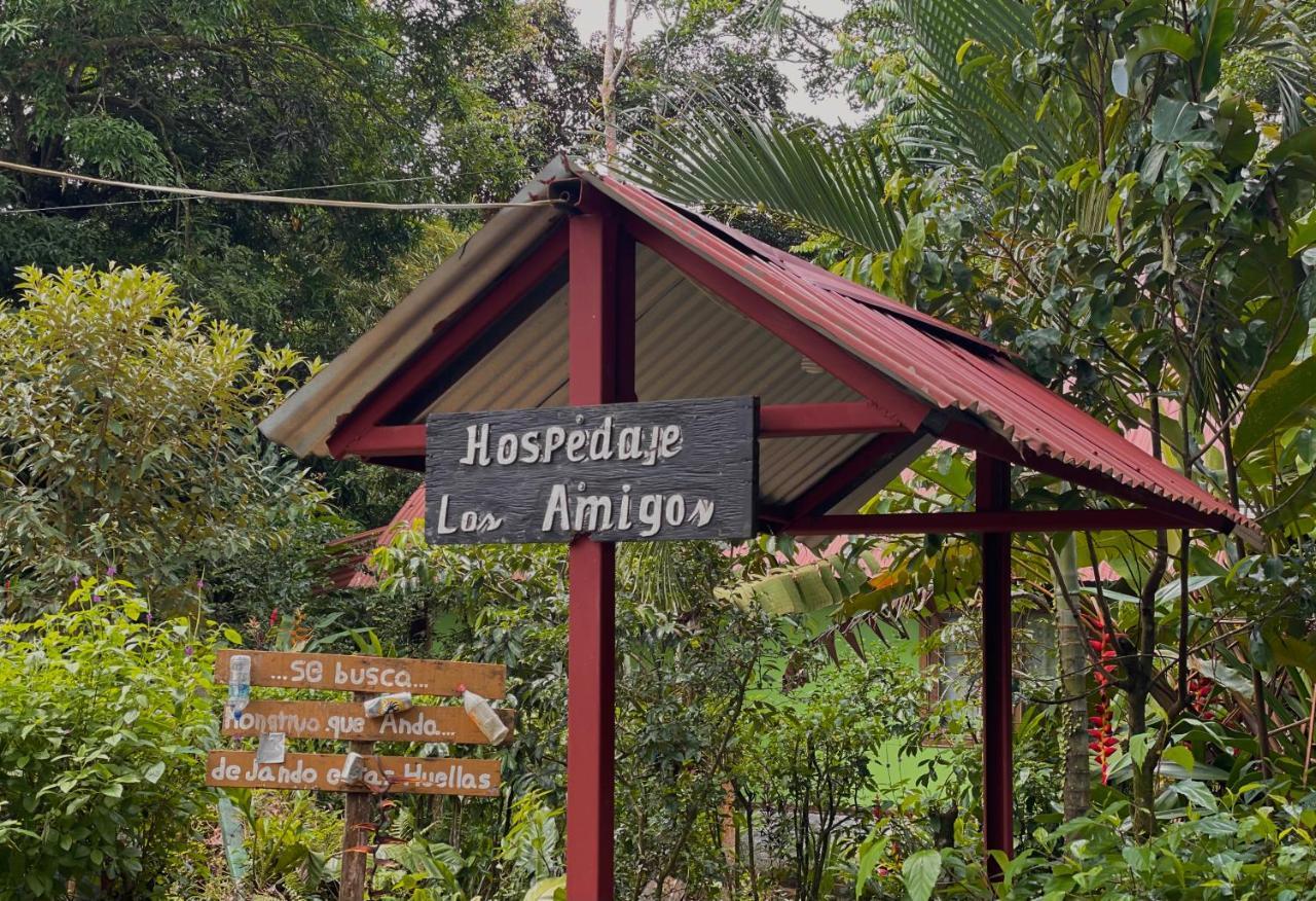 Los Amigos Jungle Hotel Тортугеро Екстериор снимка