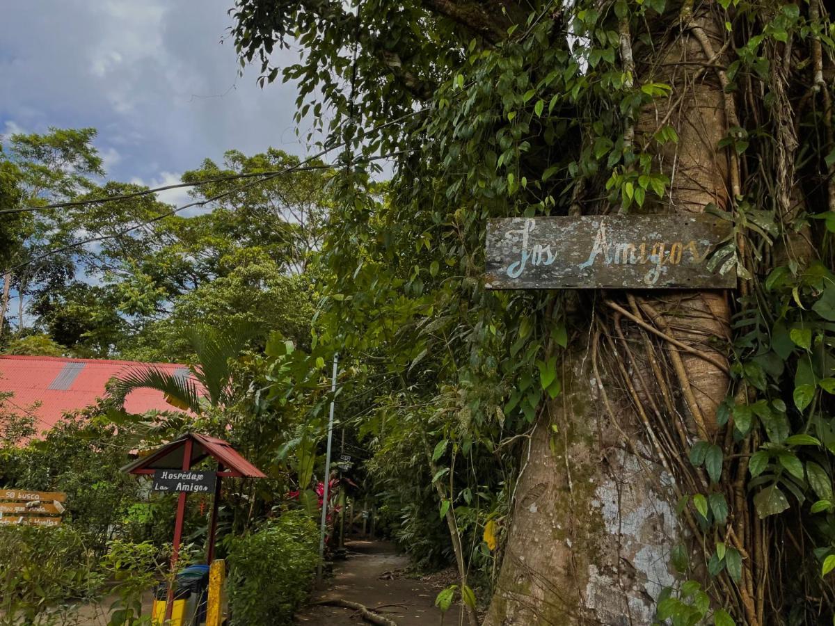 Los Amigos Jungle Hotel Тортугеро Екстериор снимка