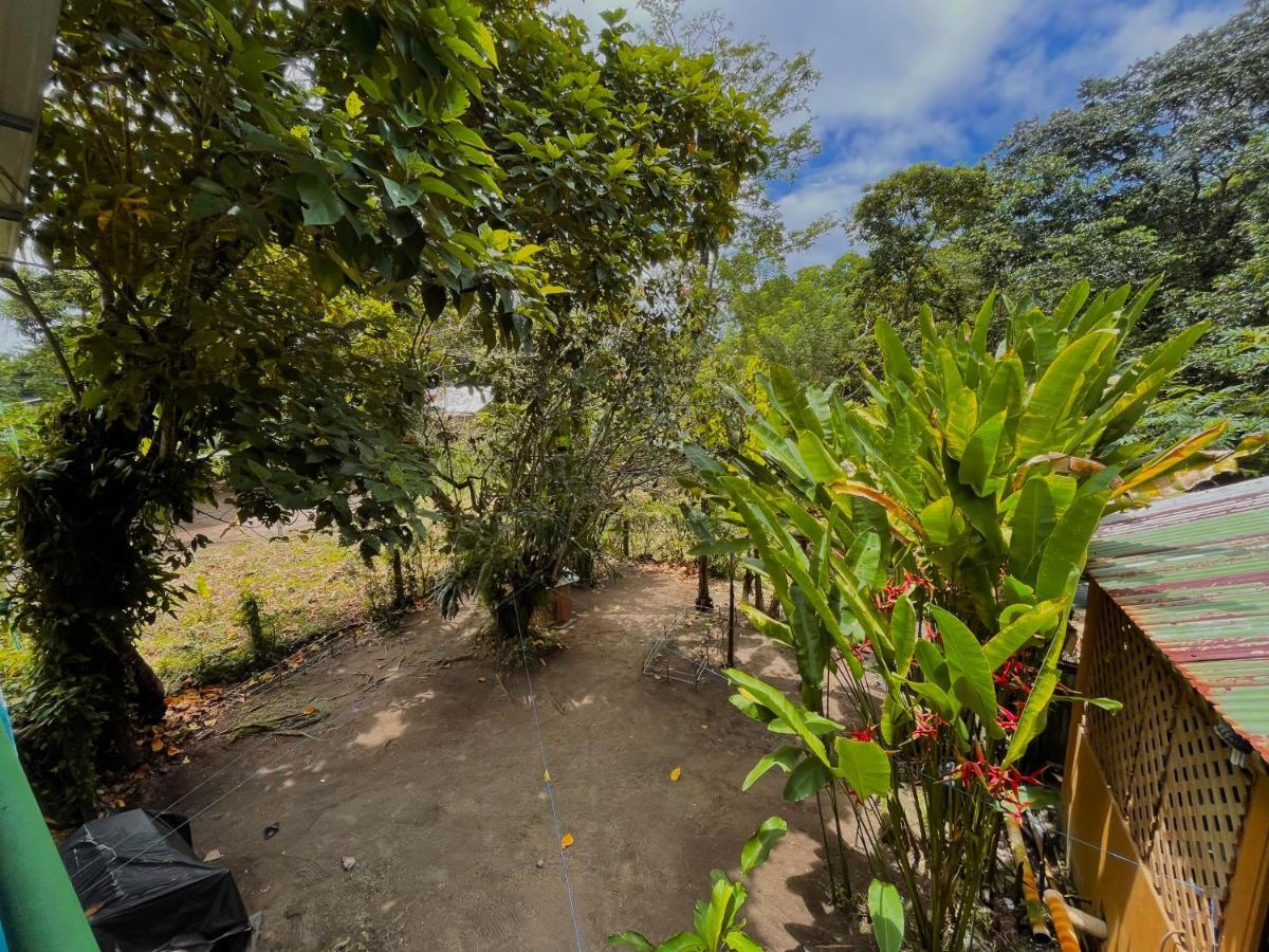Los Amigos Jungle Hotel Тортугеро Екстериор снимка