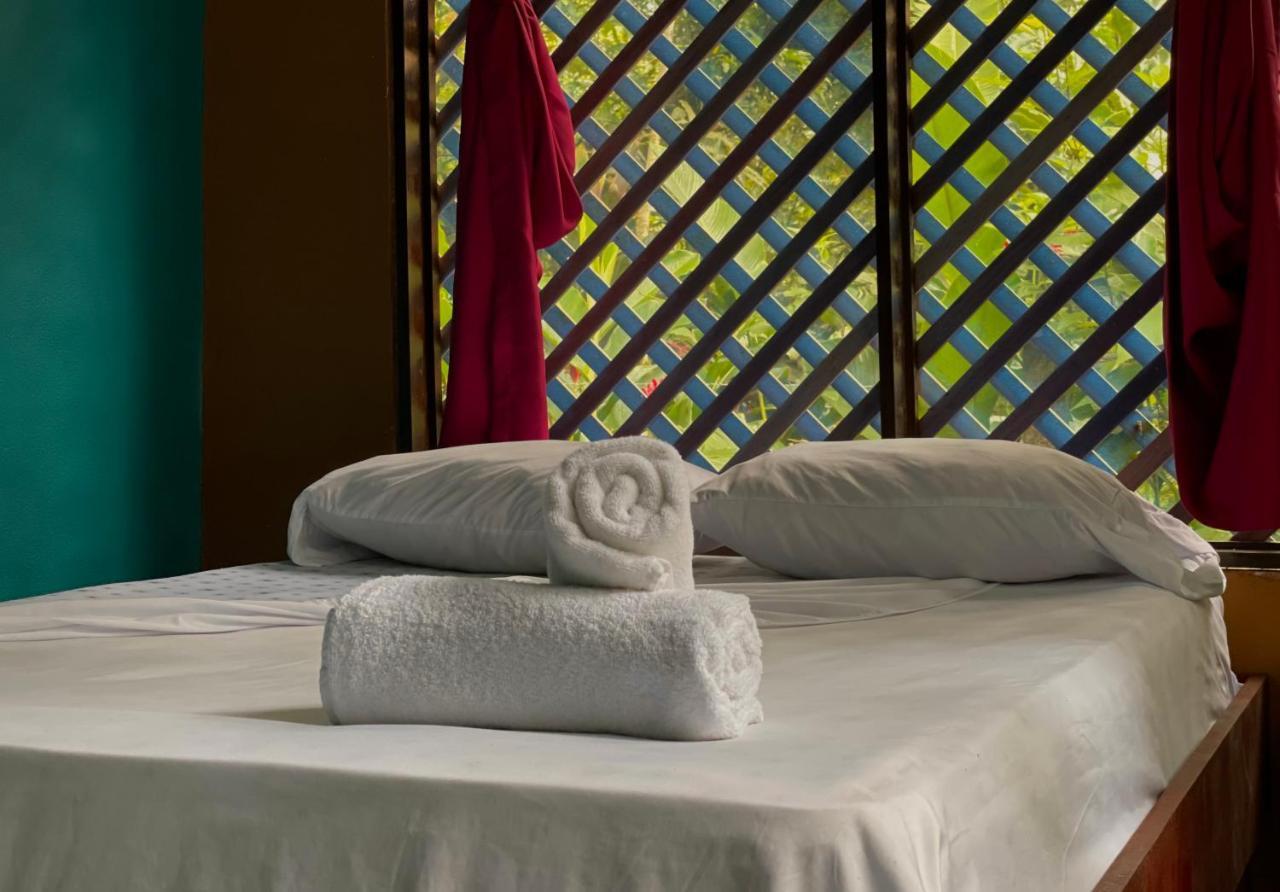 Los Amigos Jungle Hotel Тортугеро Екстериор снимка
