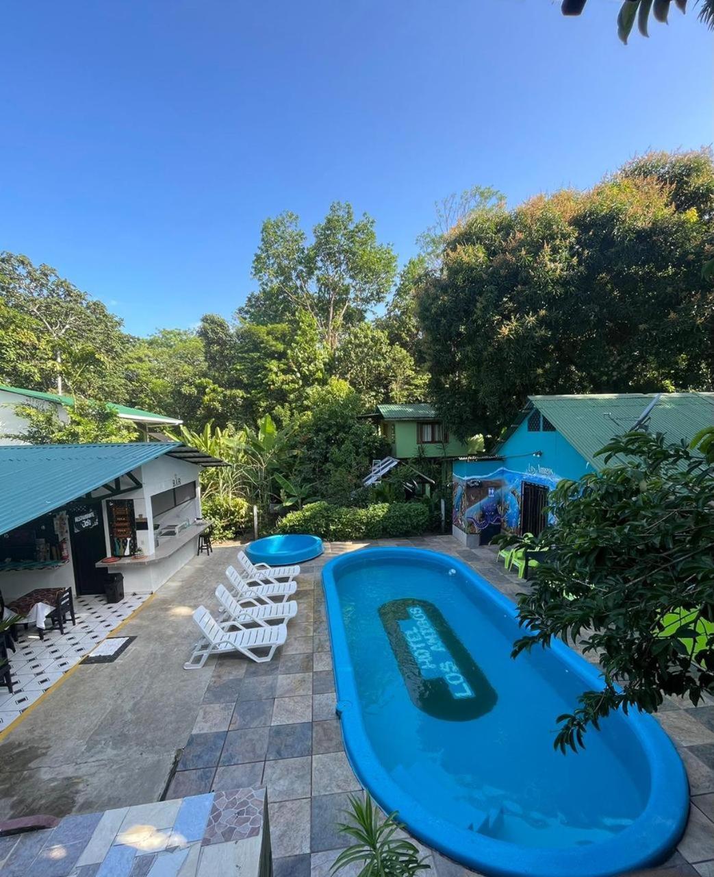 Los Amigos Jungle Hotel Тортугеро Екстериор снимка