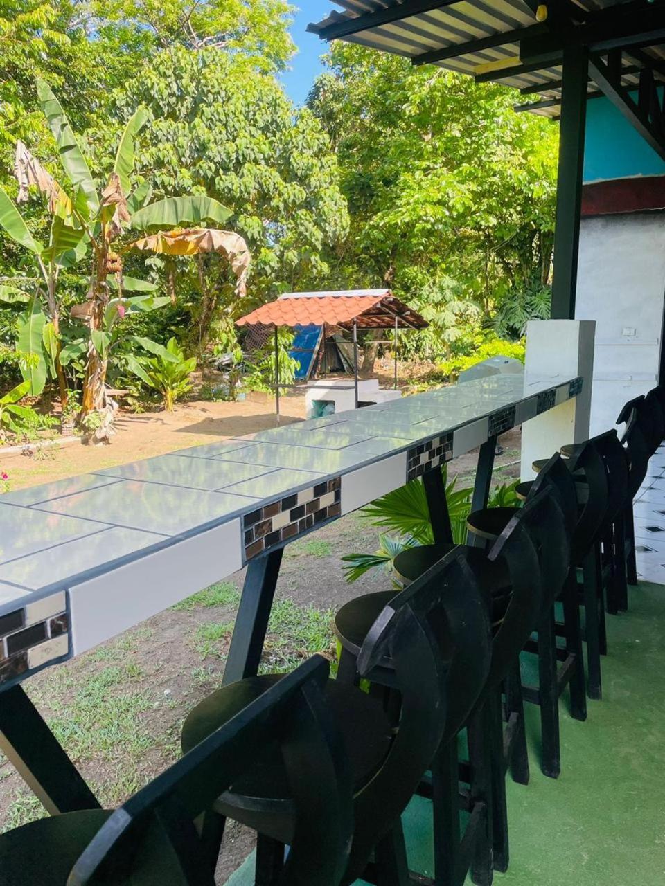 Los Amigos Jungle Hotel Тортугеро Екстериор снимка